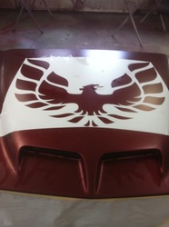 Custom graphics image 2